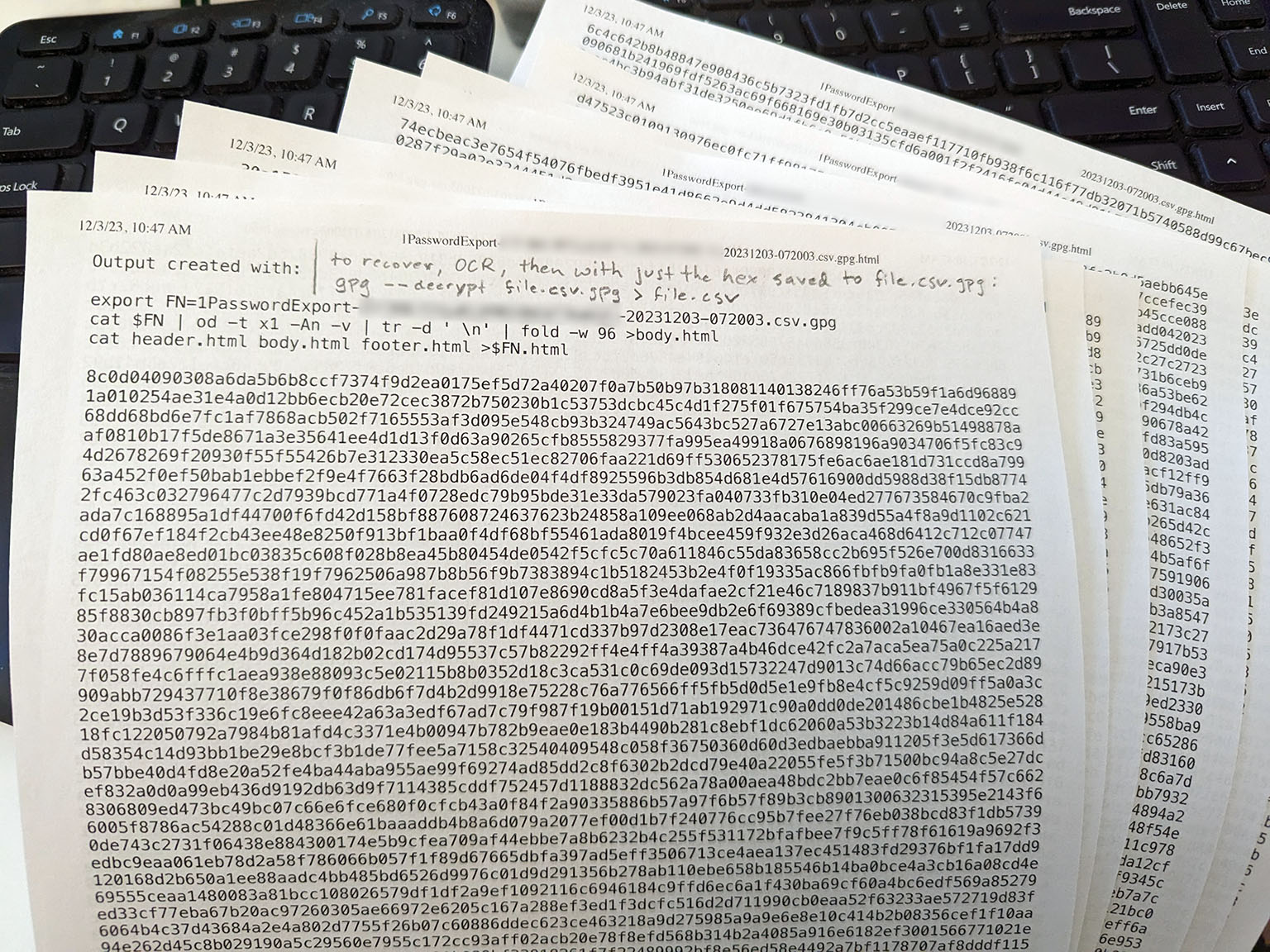 an image with no alt text